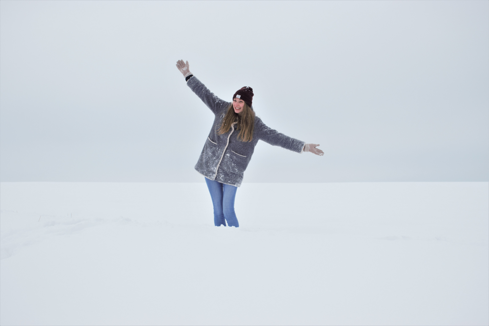 14 PG_froid