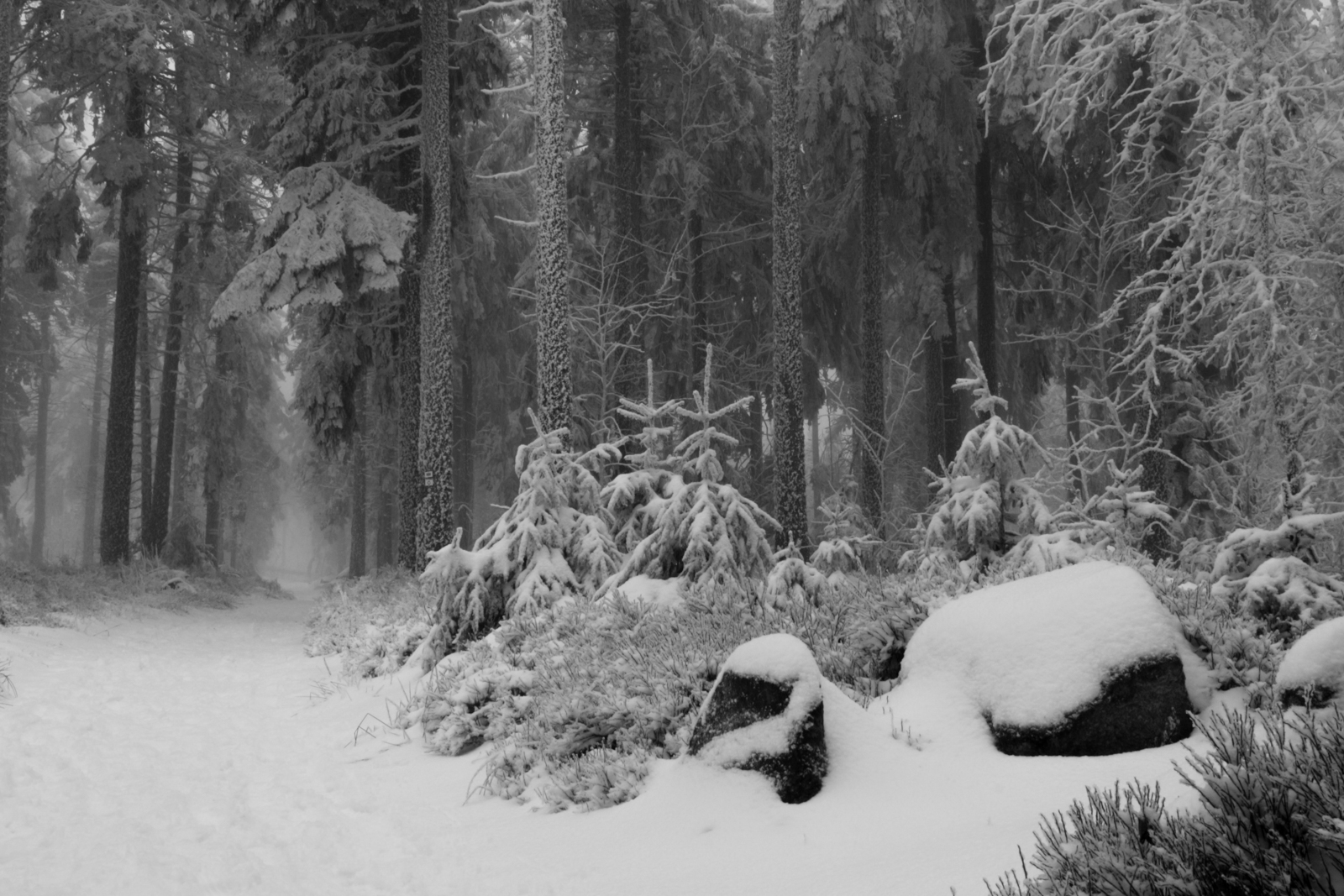 5 GN_froid