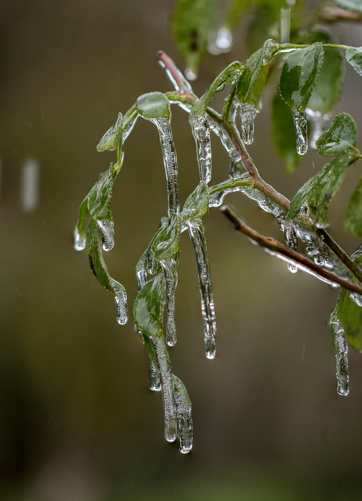 7 NB_froid