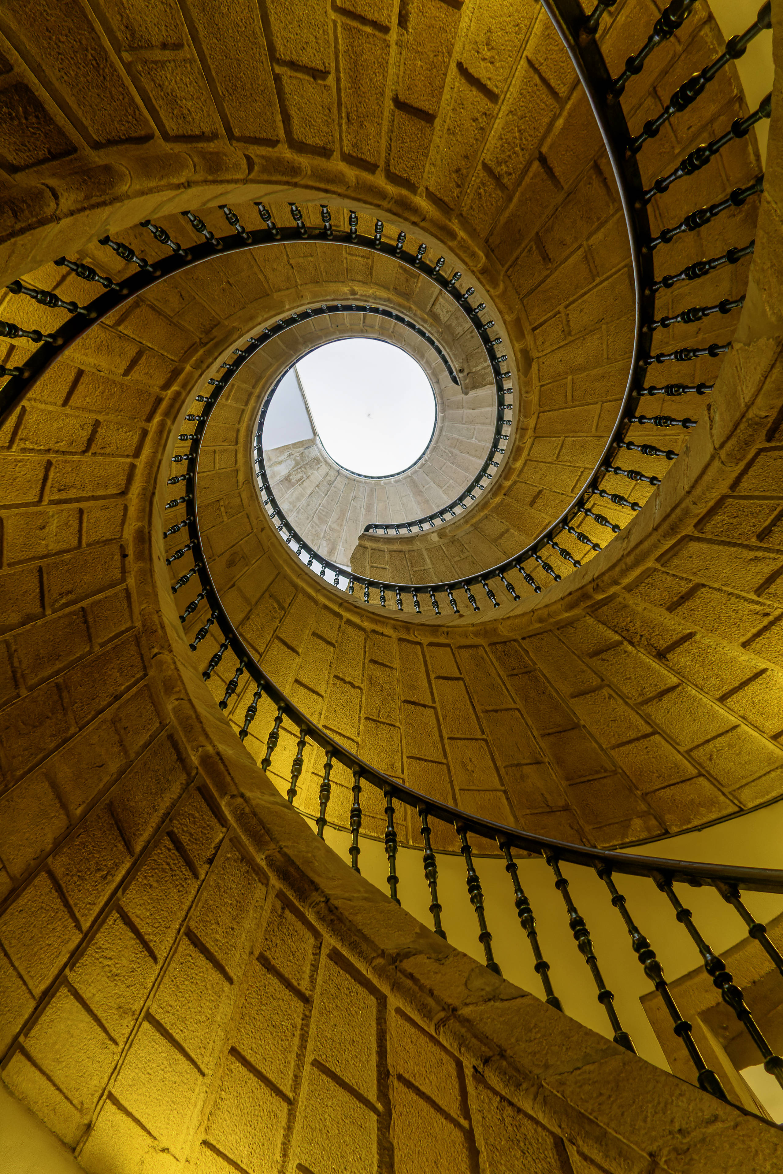 01 Marie Jo Hoff Vaillant MJH.20052025 20052025 IMG 2532 Cr2 DxO