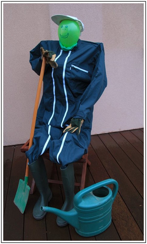 GN Vert Sans Verdure.jpg