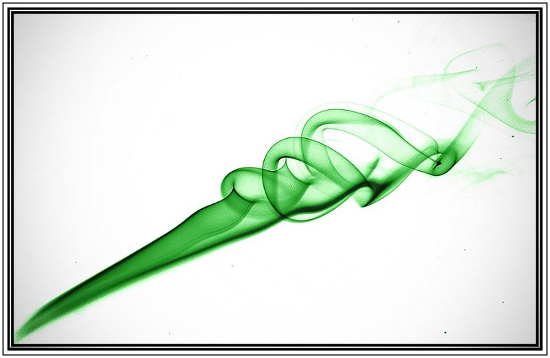 VB Vert Sans Verdure