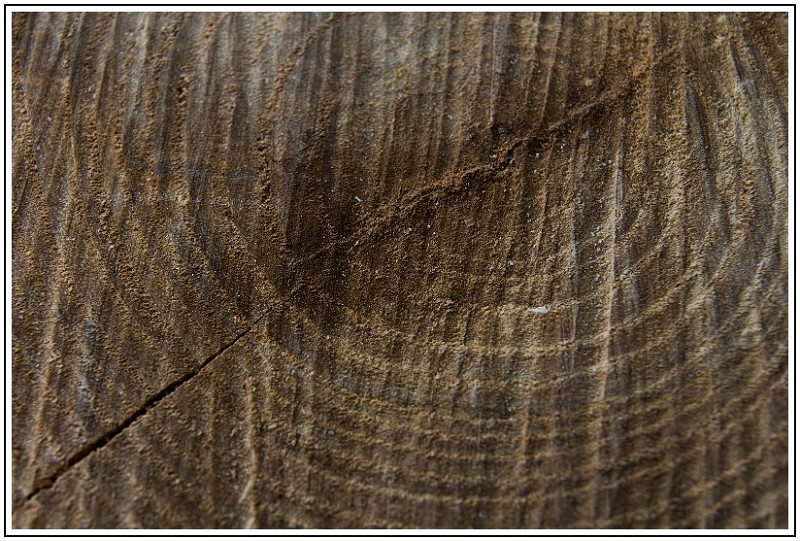 MW CCC Etat De Surface