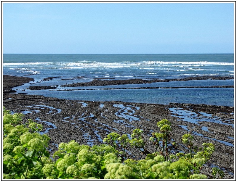 CR IMG 0642 2