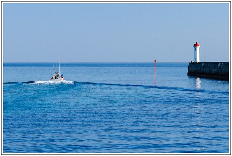 OD DSC2843