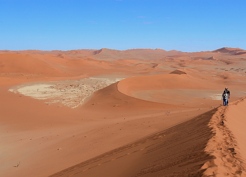 GN Paysage