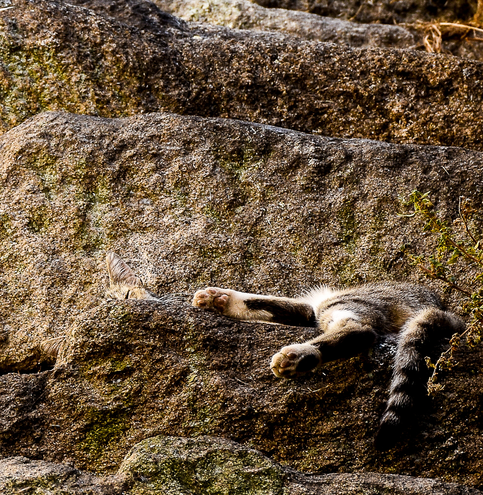 3 IM Sommeil