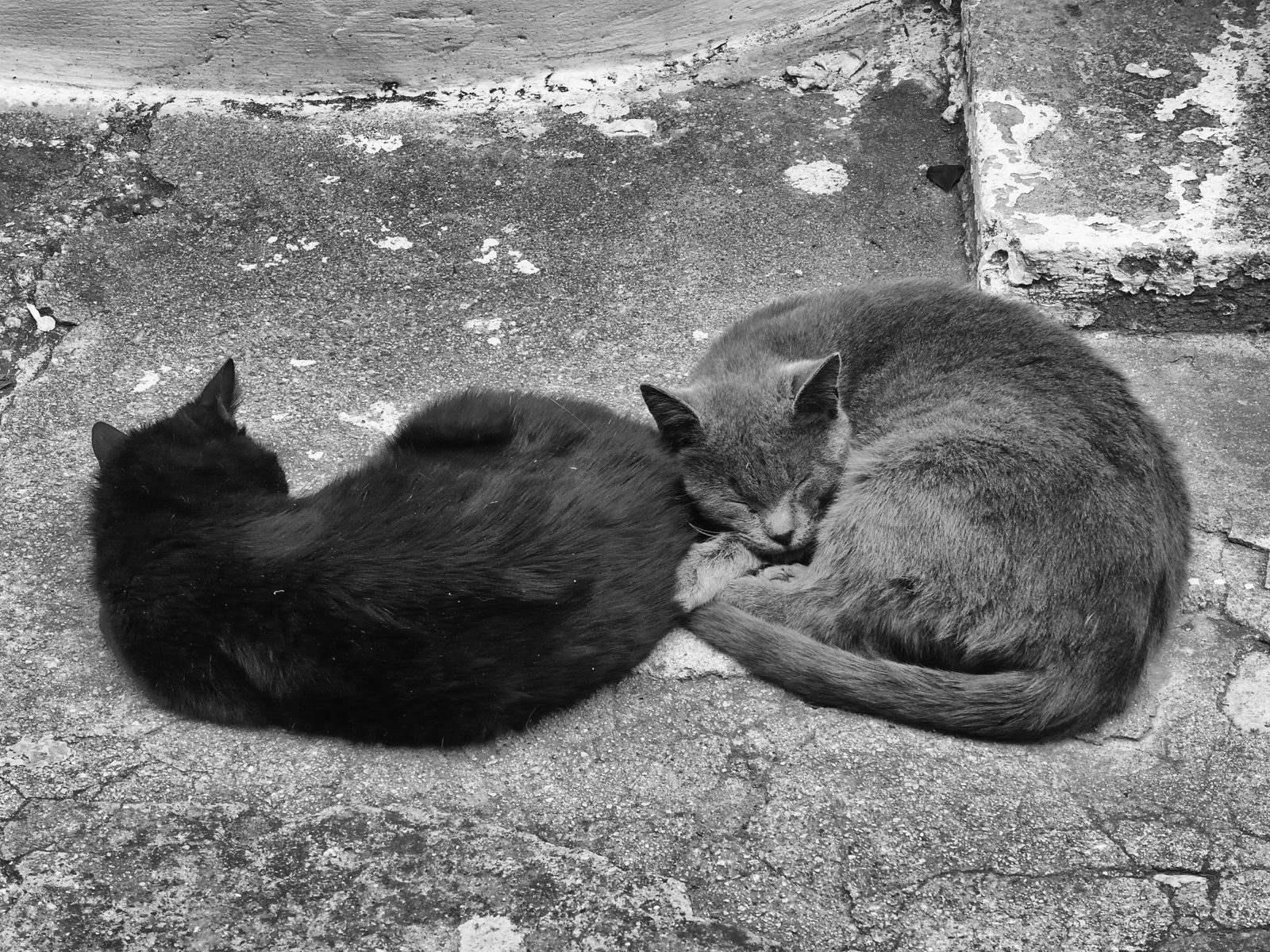4 DK Sommeil
