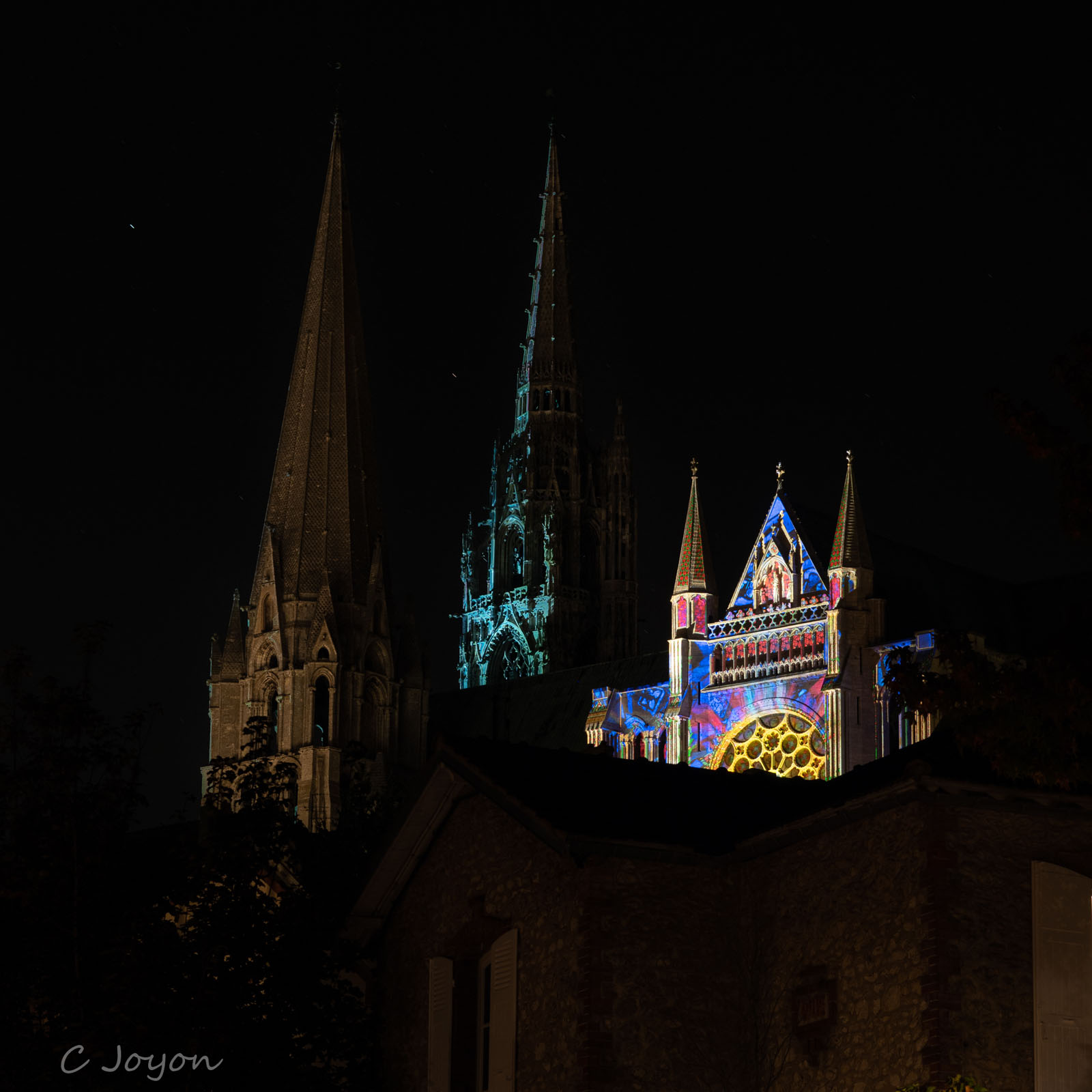 CJ Chartres5
