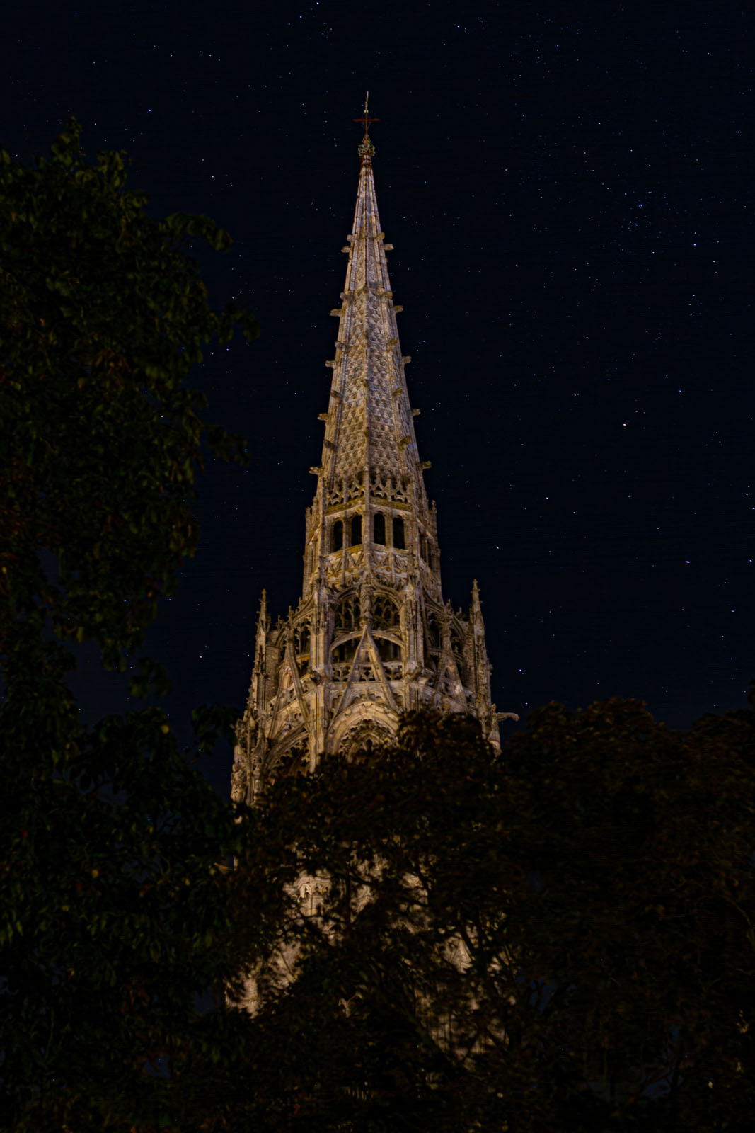 TP Sortie Chartres Octobre 3