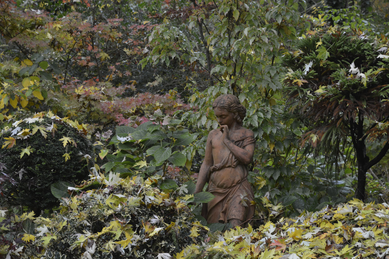 DSC2607