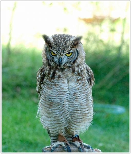 DSC6269 BorderMaker  DSC6269 BorderMaker