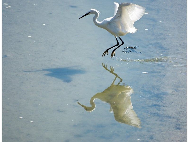 06042012 avril vrac 2 948 Modifier BorderMaker 06042012 avril vrac 2 948 Modifier BorderMaker