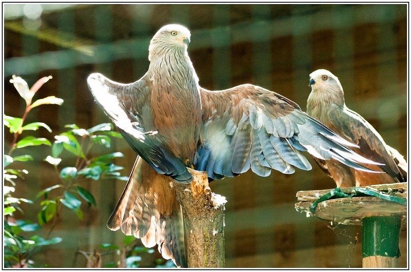 08082012  DSC6248 1 BorderMaker 08082012  DSC6248 1 BorderMaker