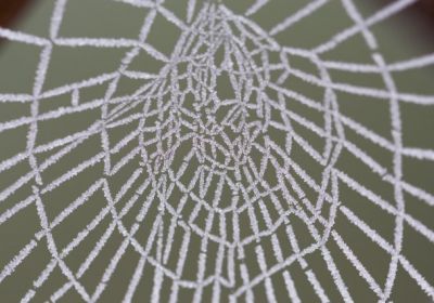 Janvier 2021 - Givre/Froid/Eau