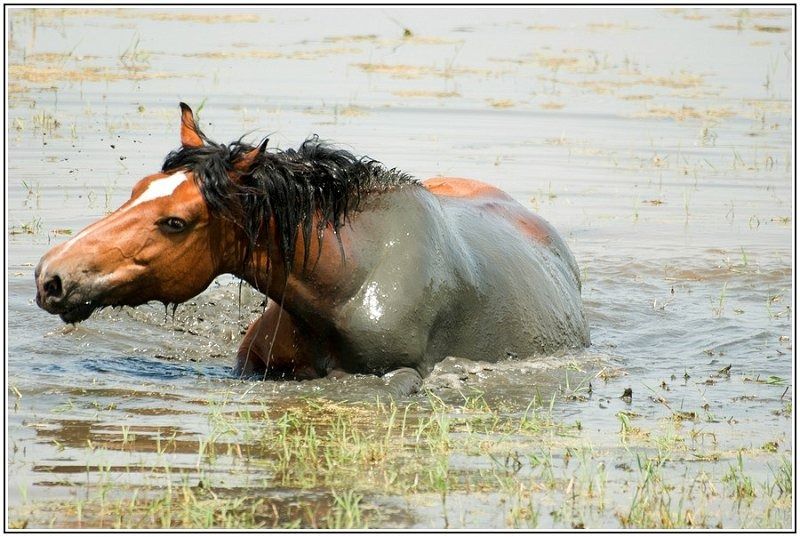 28062012  DSC5096 1 BorderMaker 28062012  DSC5096 1 BorderMaker