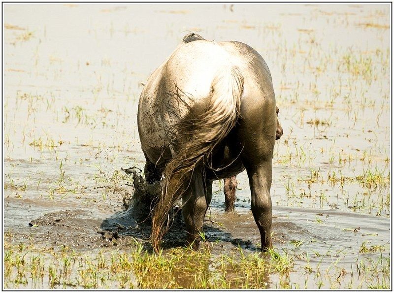 28062012  DSC5104 1 BorderMaker 28062012  DSC5104 1 BorderMaker