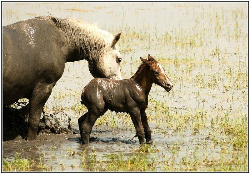 28062012  DSC5105 BorderMaker 28062012  DSC5105 BorderMaker