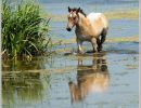 28062012  DSC5156 1 BorderMaker