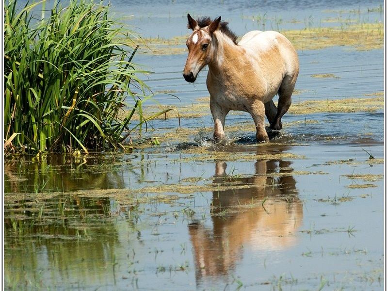 28062012  DSC5156 1 BorderMaker 28062012  DSC5156 1 BorderMaker