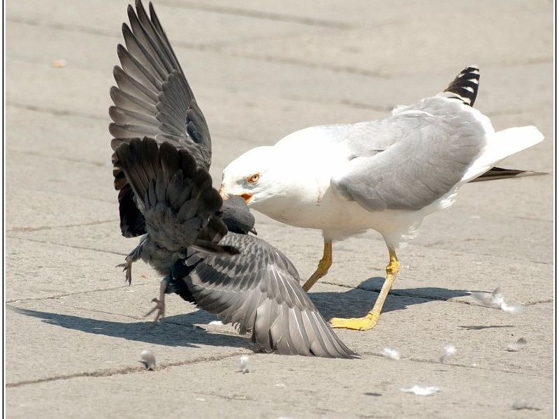 29052012  DSC3018 1 BorderMaker 29052012  DSC3018 1 BorderMaker