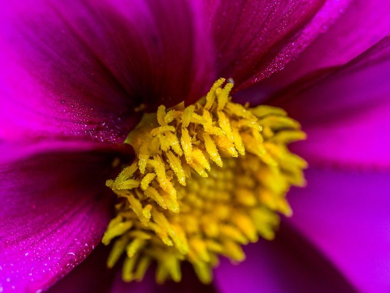 AMP DSC09969 2 AMP DSC09969 2