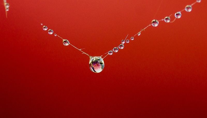 sans titre 00035   copie sans titre 00035   copie