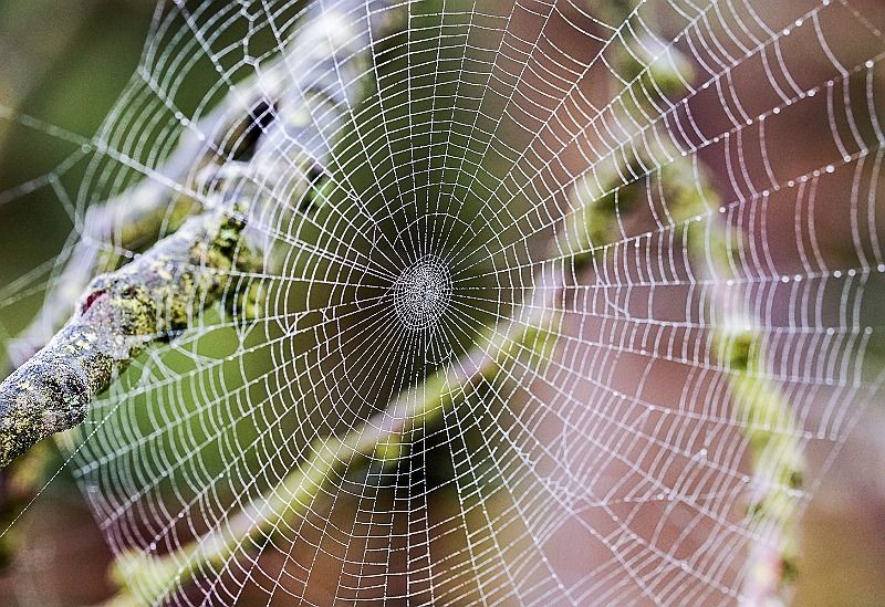 sans titre 00760 sans titre 00760