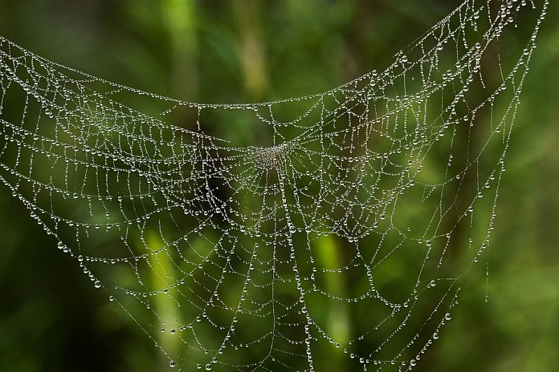 sans titre 06080 sans titre 06080