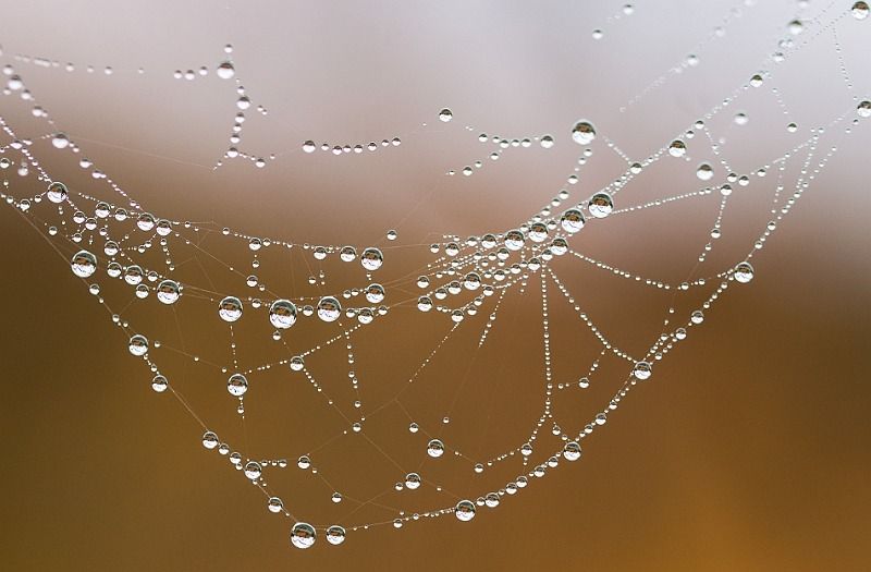 sans titre 06404 sans titre 06404