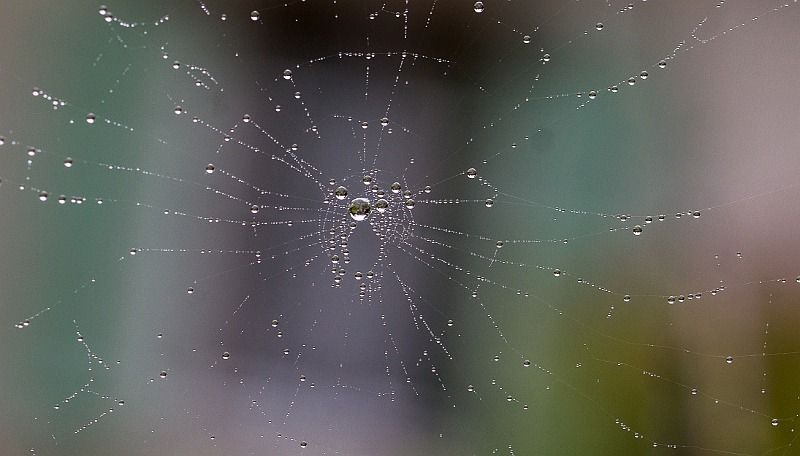 sans titre 06431 sans titre 06431