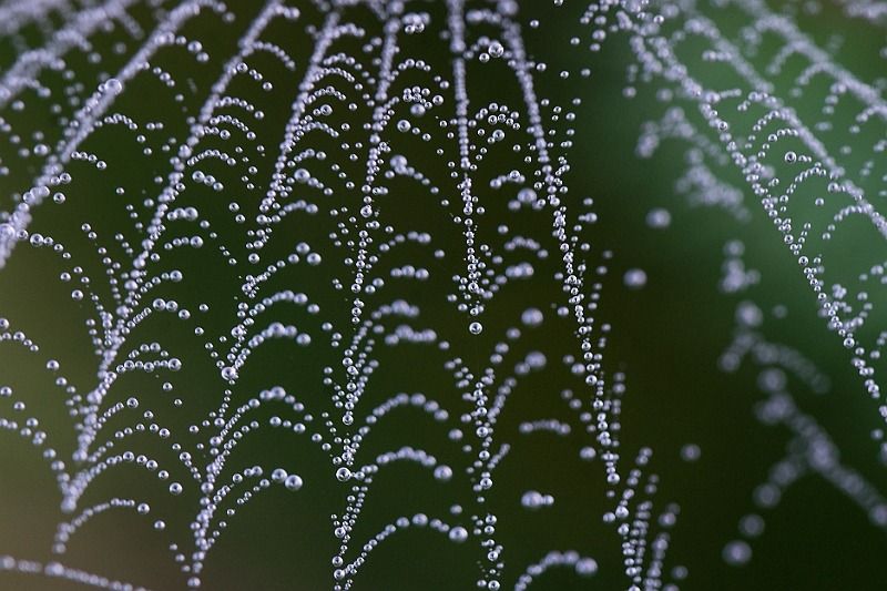 sans titre 07117 sans titre 07117