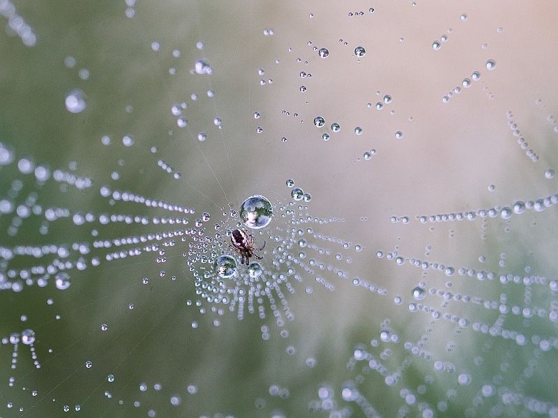 sans titre 07131 sans titre 07131