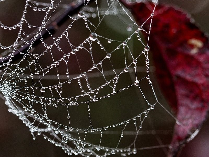 sans titre 07292 sans titre 07292