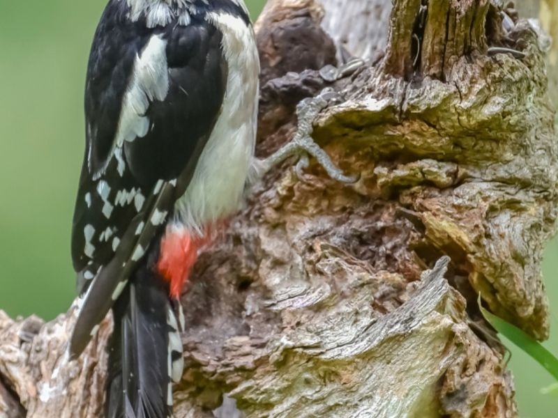 N A . DSC 9534  N A . DSC 9534