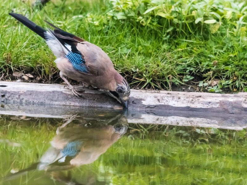 NA. 109868124 10217341162028748 1201976648483481885 n NA. 109868124 10217341162028748 1201976648483481885 n