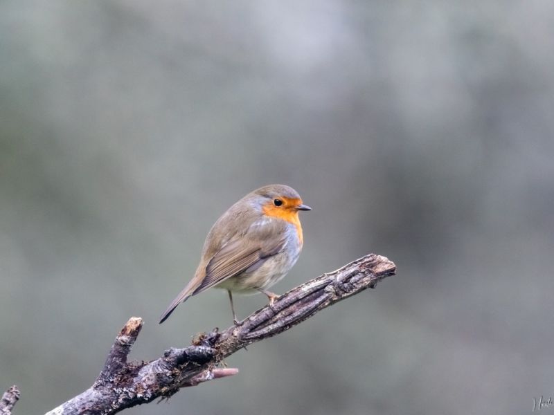 NA. 14012022 DSC 2856 NA. 14012022 DSC 2856