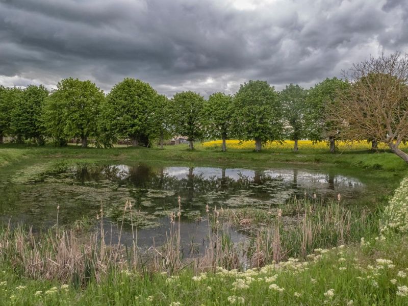 NA. 186486195 10219380060559937 5692991138285477914 n NA. 186486195 10219380060559937 5692991138285477914 n