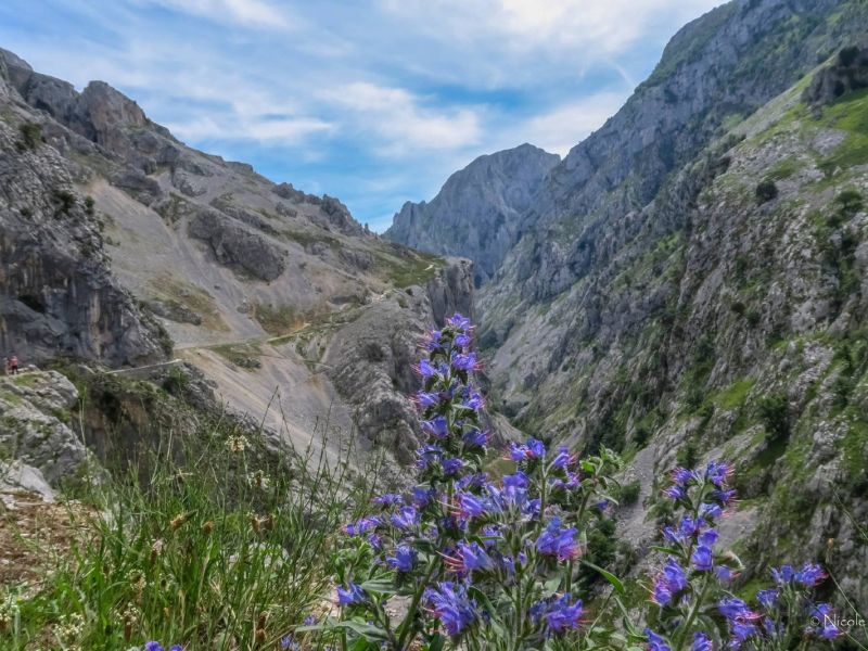 NA. 191912251 10219440282265442 1831431533216142568 n NA. 191912251 10219440282265442 1831431533216142568 n