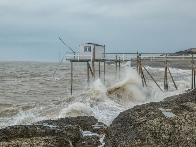 NA. 24032023 DSCF4350 M NA. 24032023 DSCF4350 M