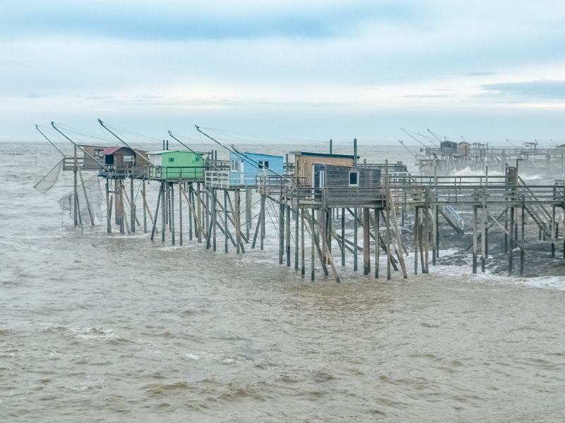 NA. 24032023 DSCF4424 M 2 NA. 24032023 DSCF4424 M 2