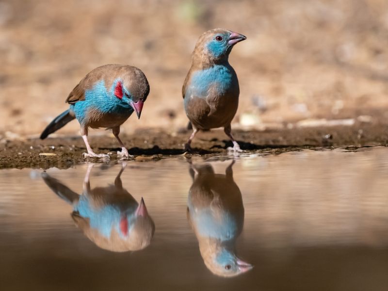 NA. 30012023 DSC 3821 NA. 30012023 DSC 3821