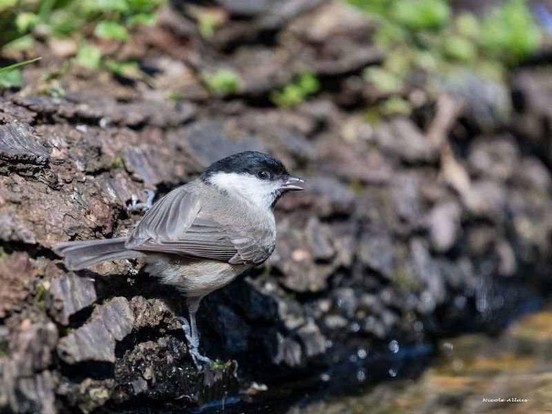 NA. DSC 6407 fs NA. DSC 6407 fs