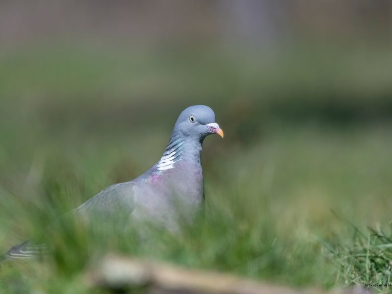 NA. DSC 6538 f NA. DSC 6538 f