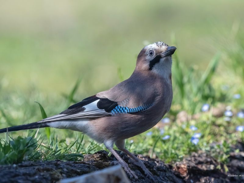 NA. DSC 6679 fs NA. DSC 6679 fs