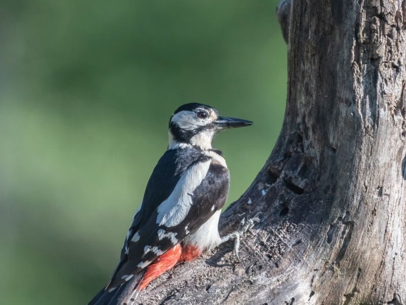 NA.01062021 DSC 6945 NA.01062021 DSC 6945