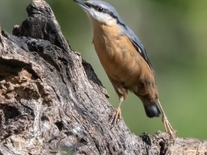 NA.15092022 DSC 6304 NA.15092022 DSC 6304