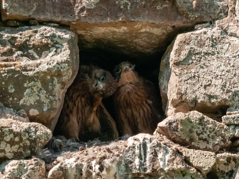 NA.19062017 DSC 8281 NA.19062017 DSC 8281