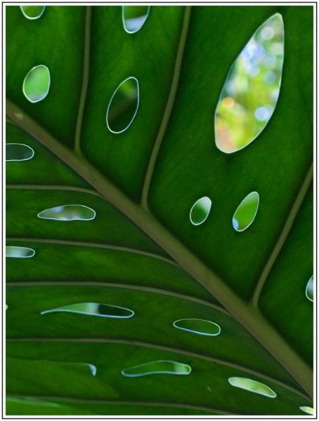 A001JPEG 10 A001JPEG 10