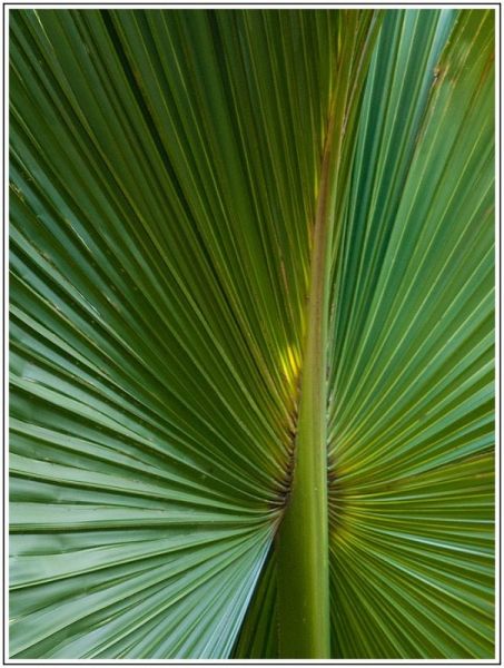 A001JPEG 11 A001JPEG 11